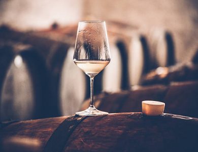 Pourquoi est-il important de choisir le bon type de cave à vin pour les bouteilles ?