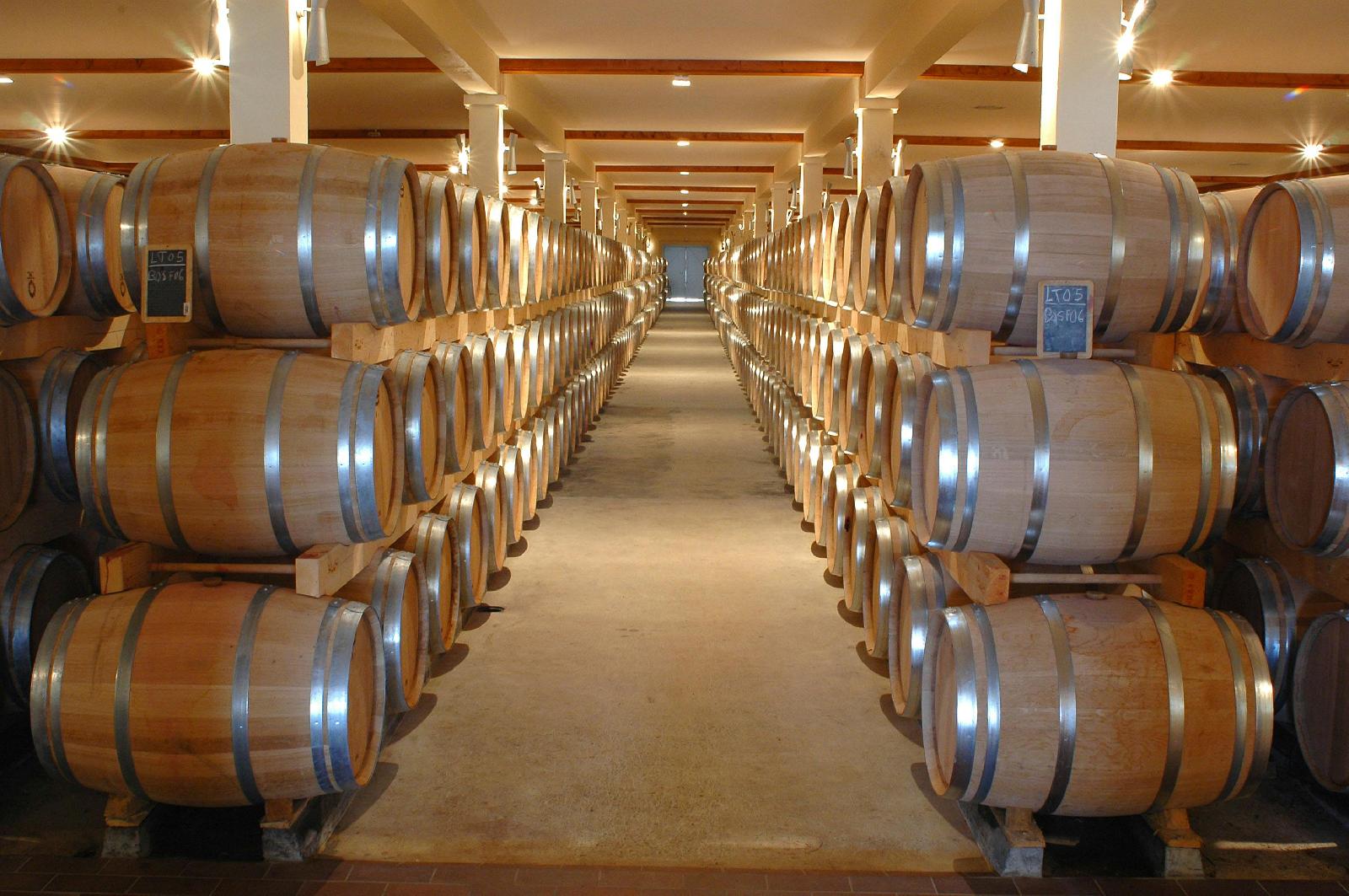 You are currently viewing Oeni : l’application idéale pour organiser et gérer sa cave à vin